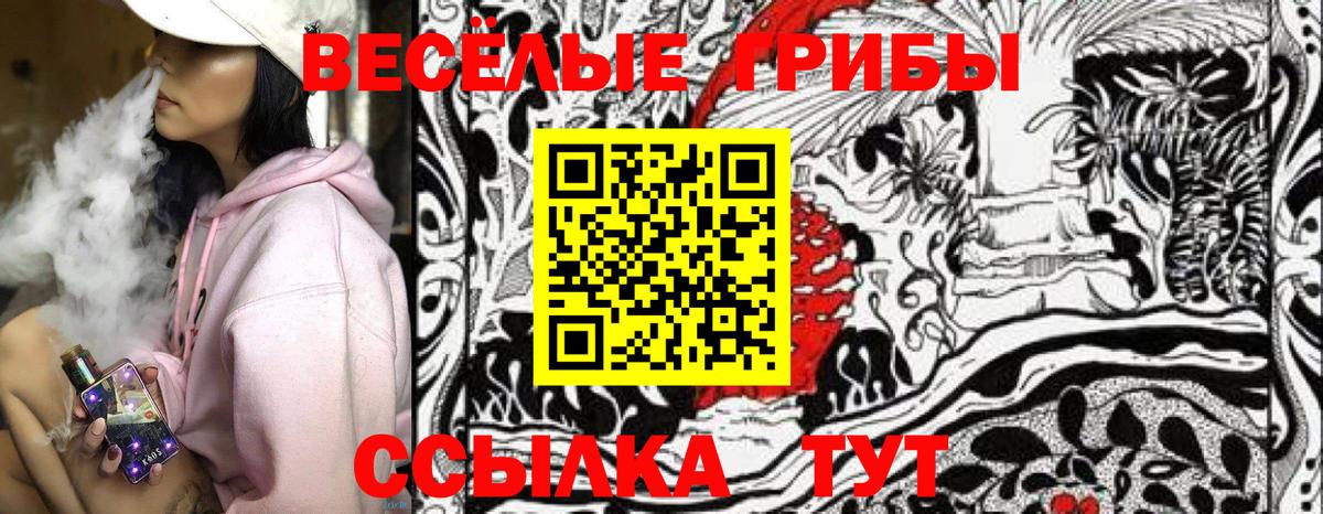 Канабис Корсаков
