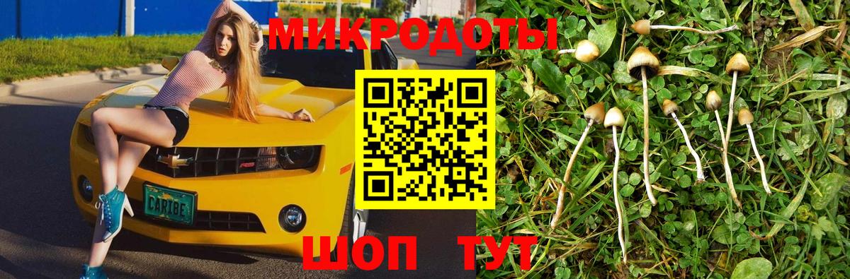 Галлюциногенные грибы Psilocybe Корсаков